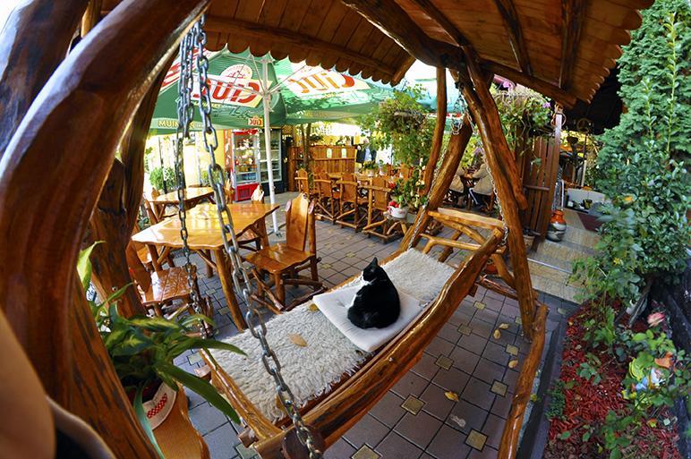 Casa Belazur Hotel Deva Luaran gambar