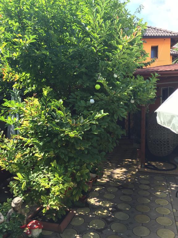 Casa Belazur Hotel Deva Luaran gambar